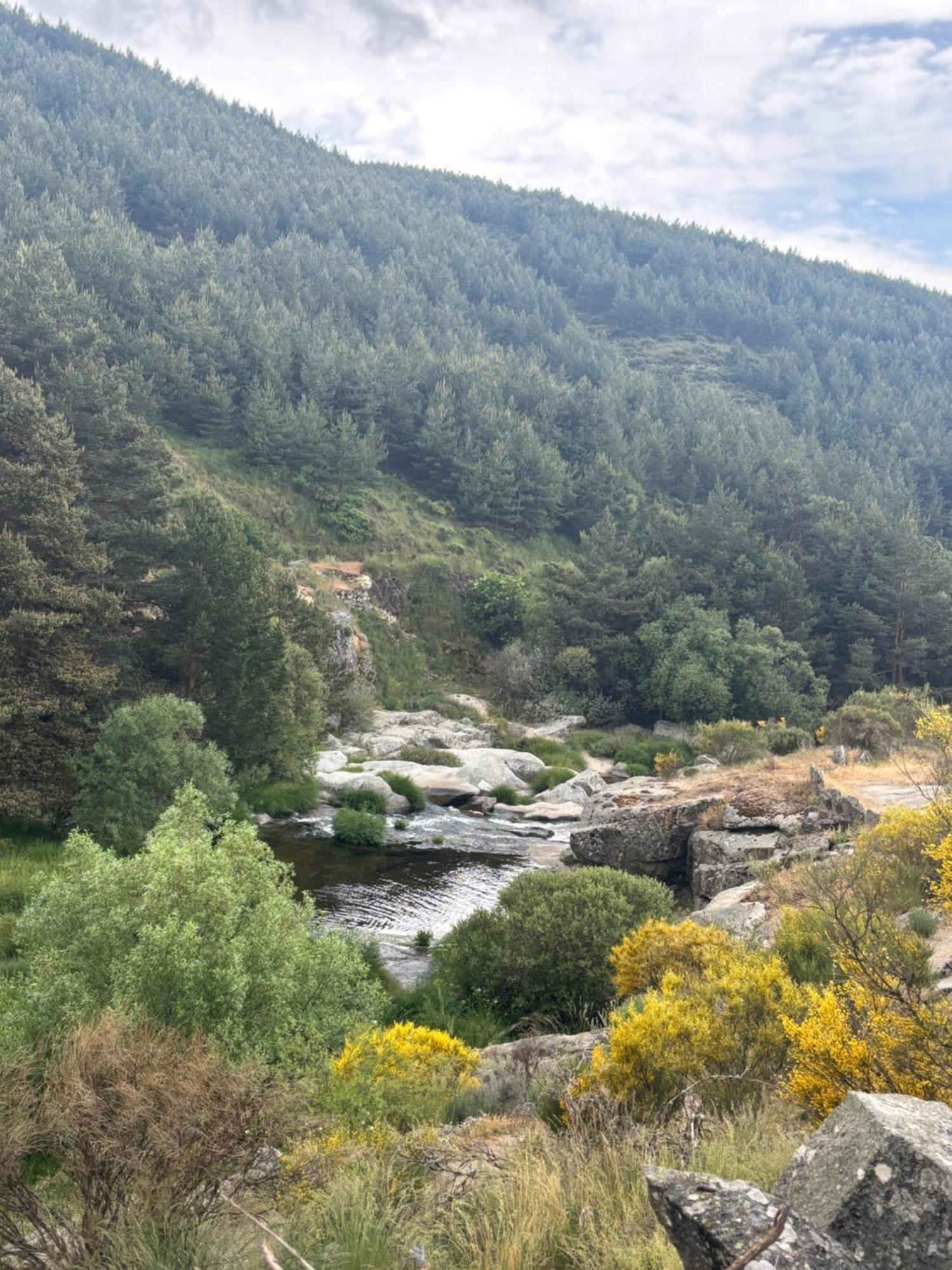 Villa De Gredos Navarredonda de Gredos Zewnętrze zdjęcie